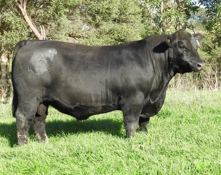 LOT 2 MOORUNGA RAVING V114