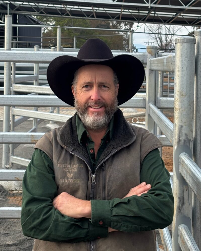 Andrew Maffescioni