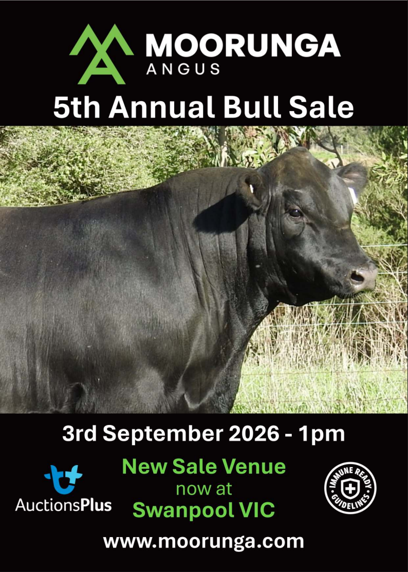 Sale catalogue cover