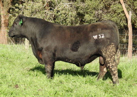 MOORUNGA EMERALD W032