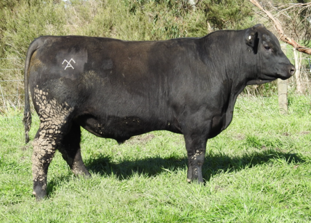 MOORUNGA TANKER W019